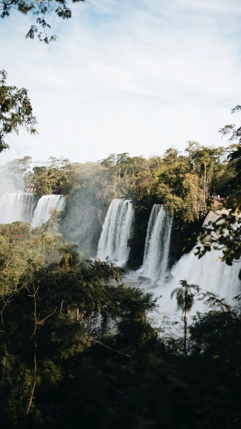 Iguazú falls over the jungle
