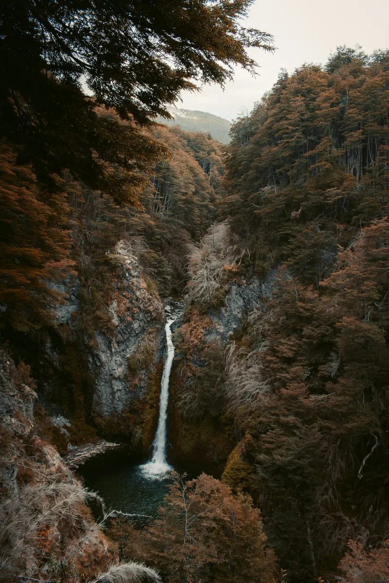 Waterfall in a Patagonian autumn forest